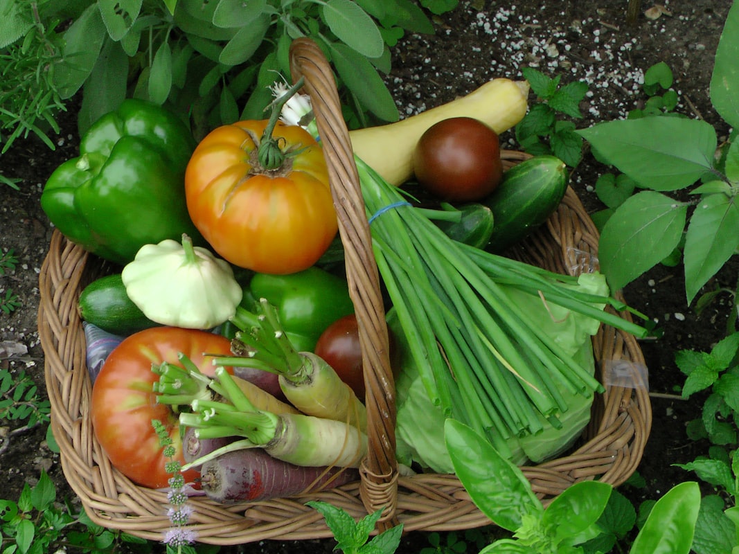 Nutrizione e Energia Quotidiana